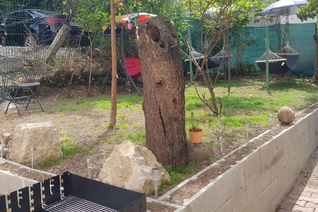קלוז'-נאפוקה Josephine Central Villa & Garden מראה חיצוני תמונה