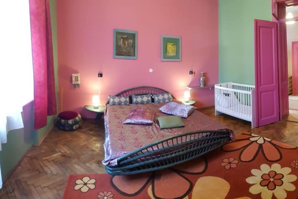 קלוז'-נאפוקה Josephine Central Villa & Garden מראה חיצוני תמונה